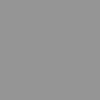 Silver DPV-01